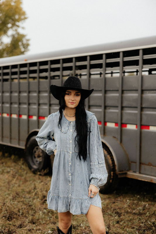 The Kate Denim Dress