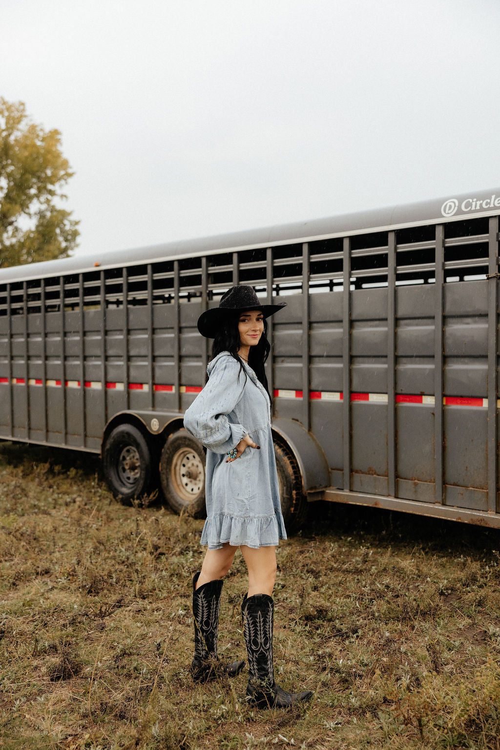 The Kate Denim Dress