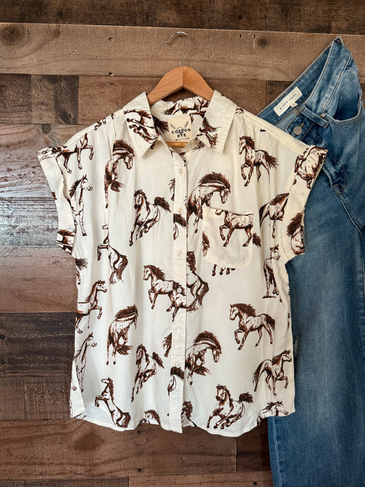 The Gallup Button Down