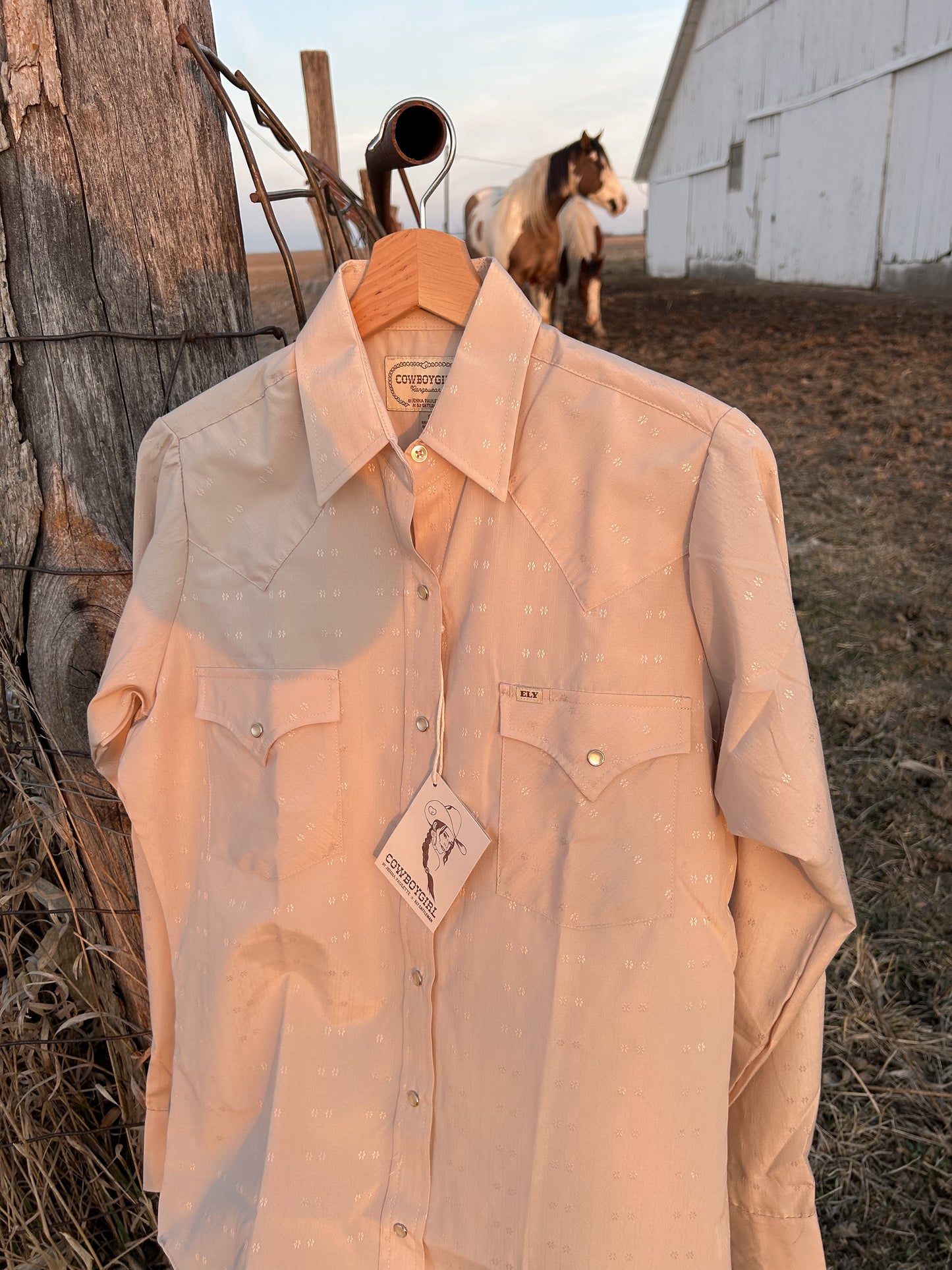 The West Texas Dust Pearl Snap