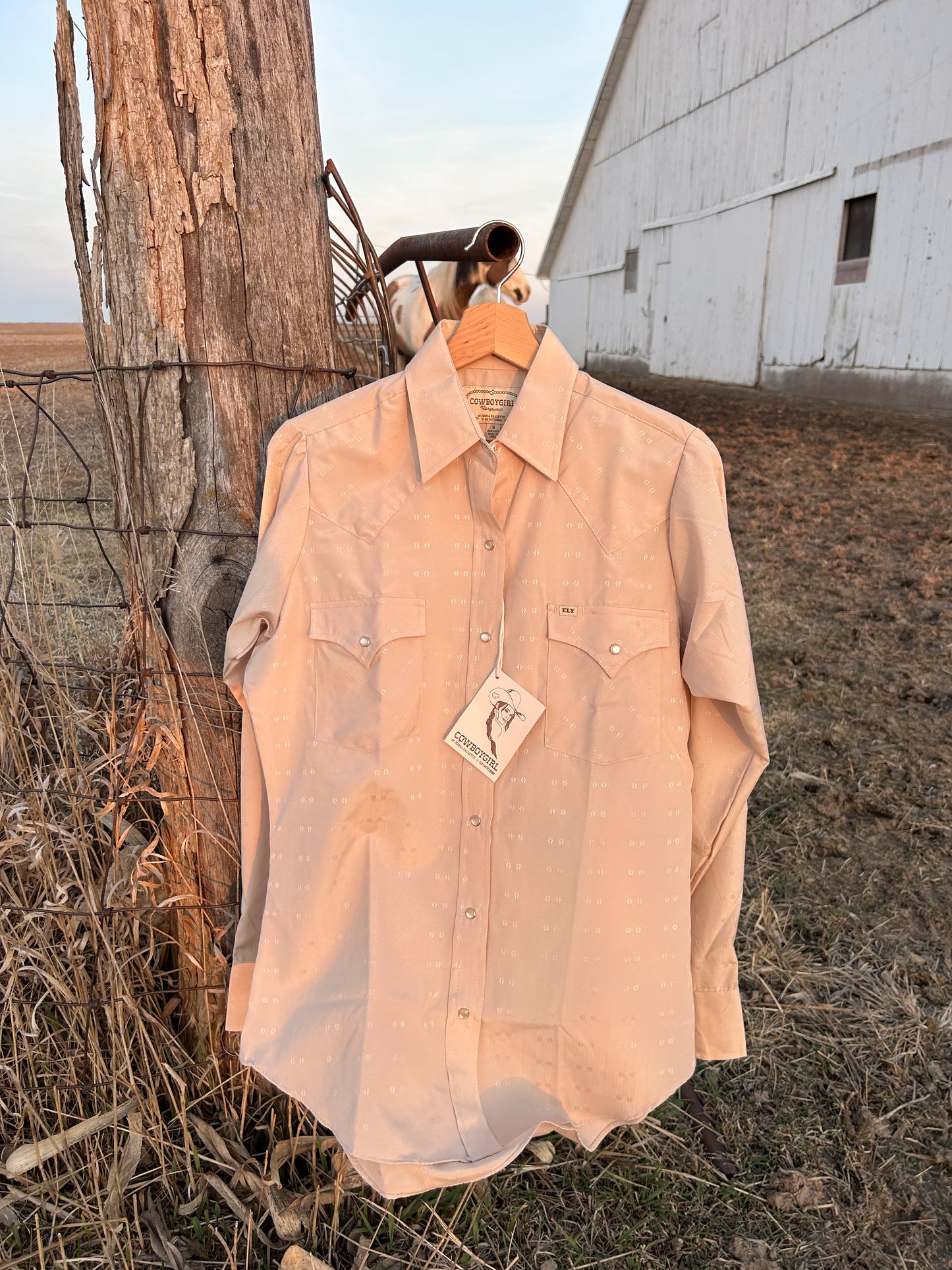 The West Texas Dust Pearl Snap