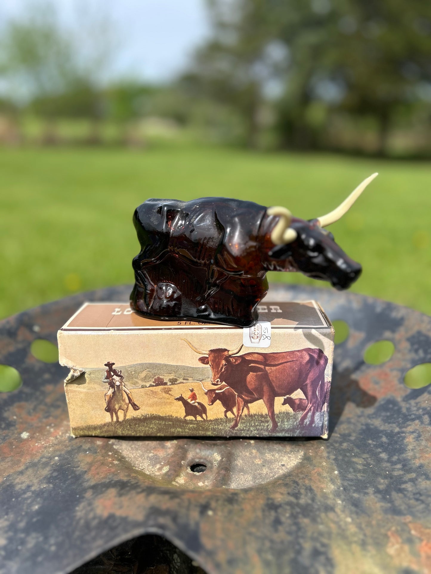 The Longhorn Glass Decor