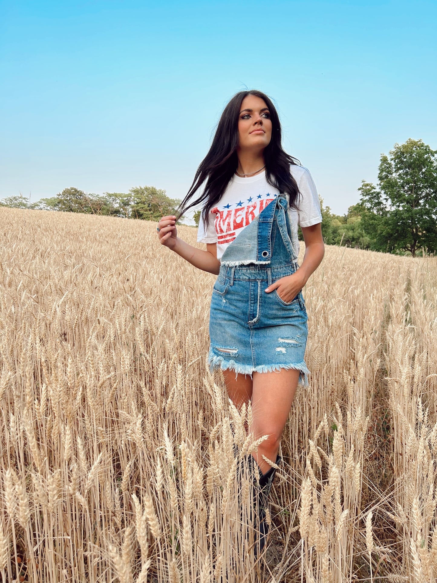 The Denim Overall Dress