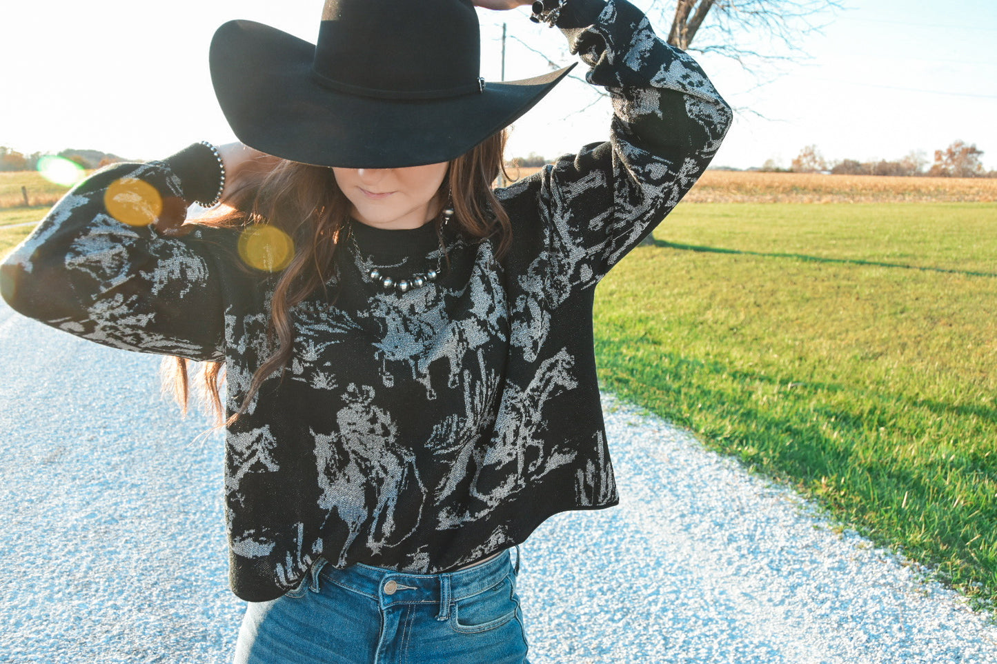 The Rhinestone Cowboy Cropped Sweater