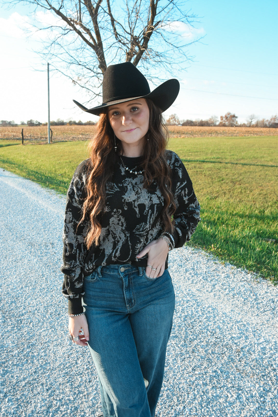 The Rhinestone Cowboy Cropped Sweater