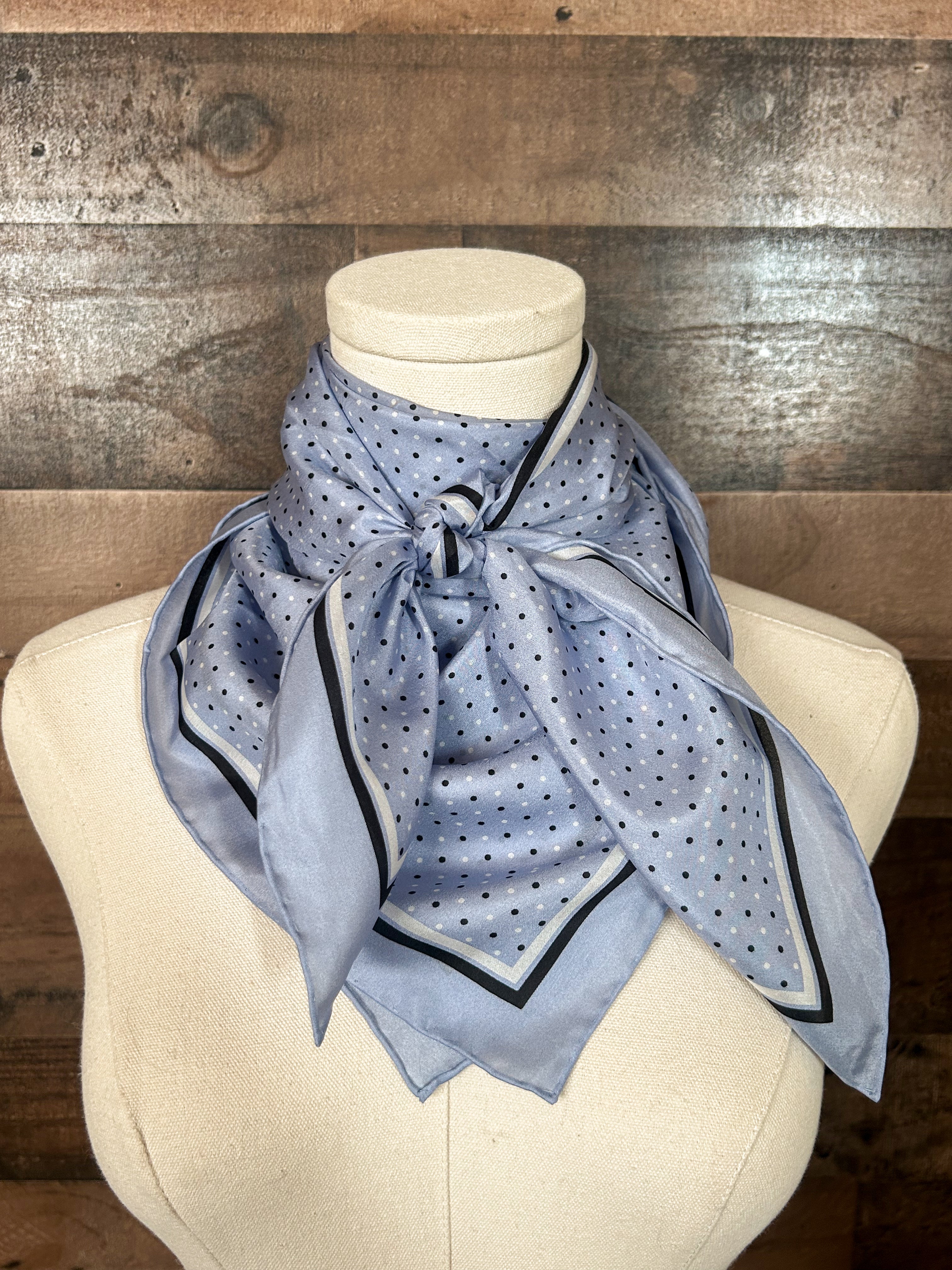 Dixie Blue Rag The Blue Polka Dot Wild Rag – Triple J Ranchwear